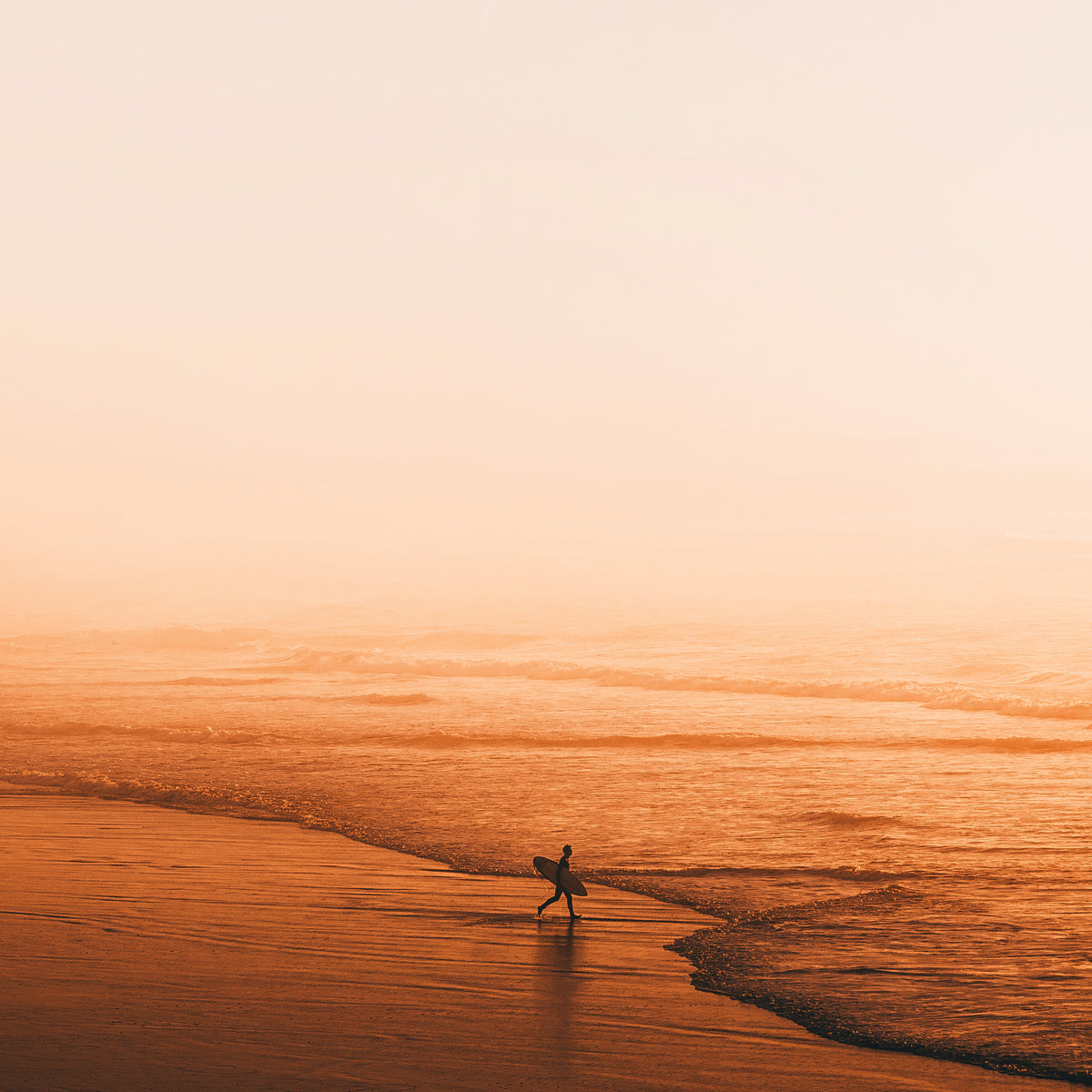 Lone Surfer