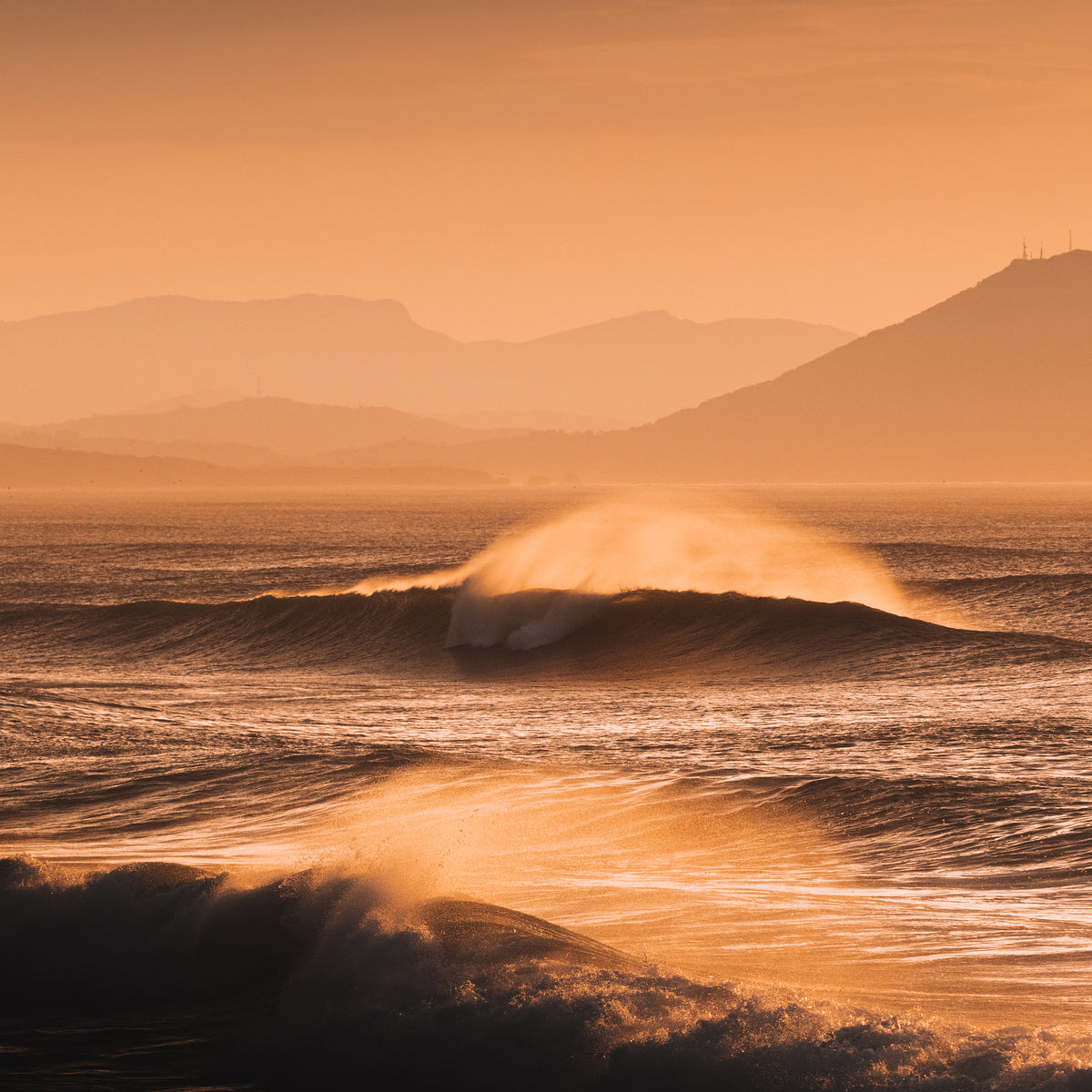 Golden Wave 23X23