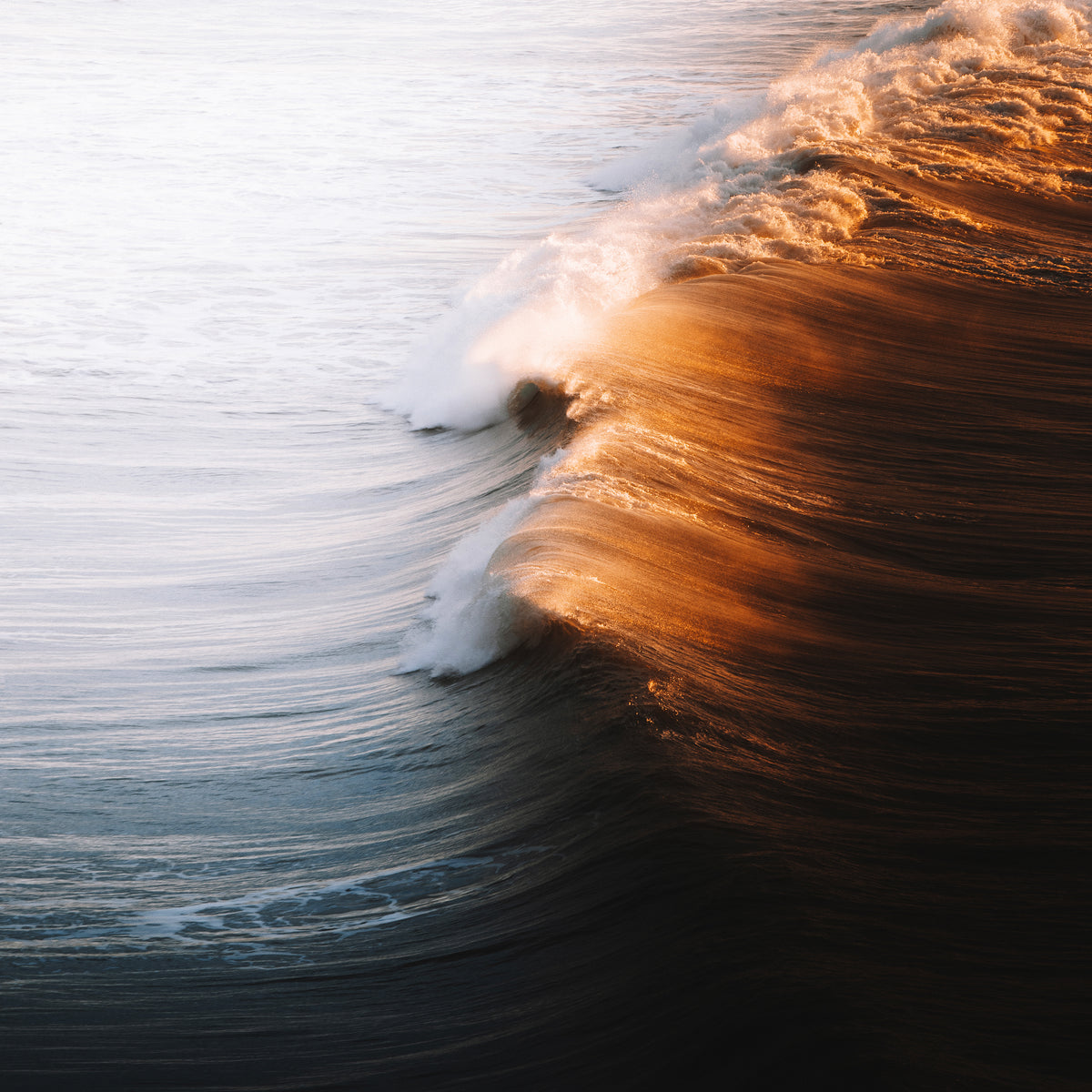 Golden Wave 23X23