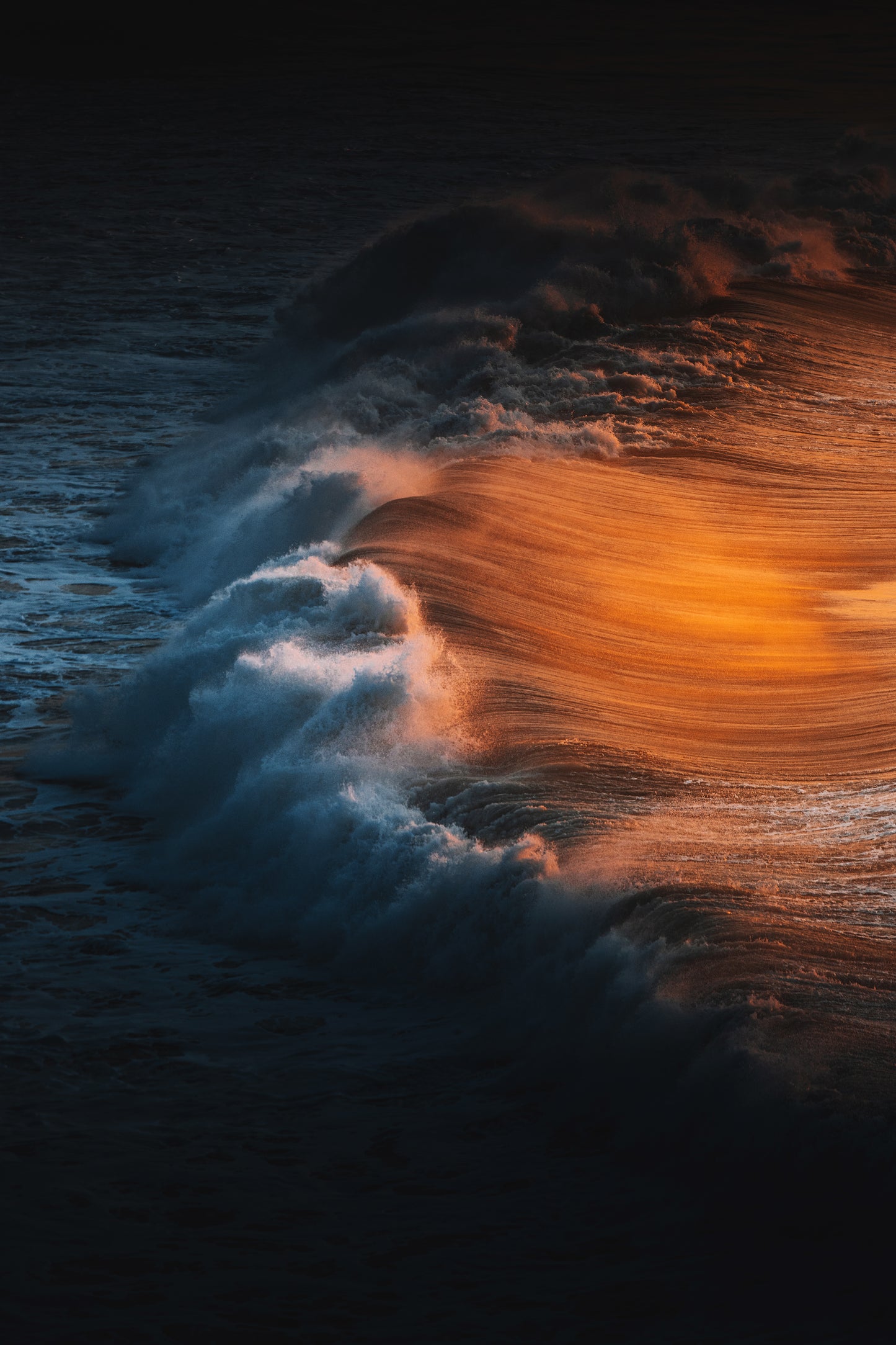 Golden Glow
