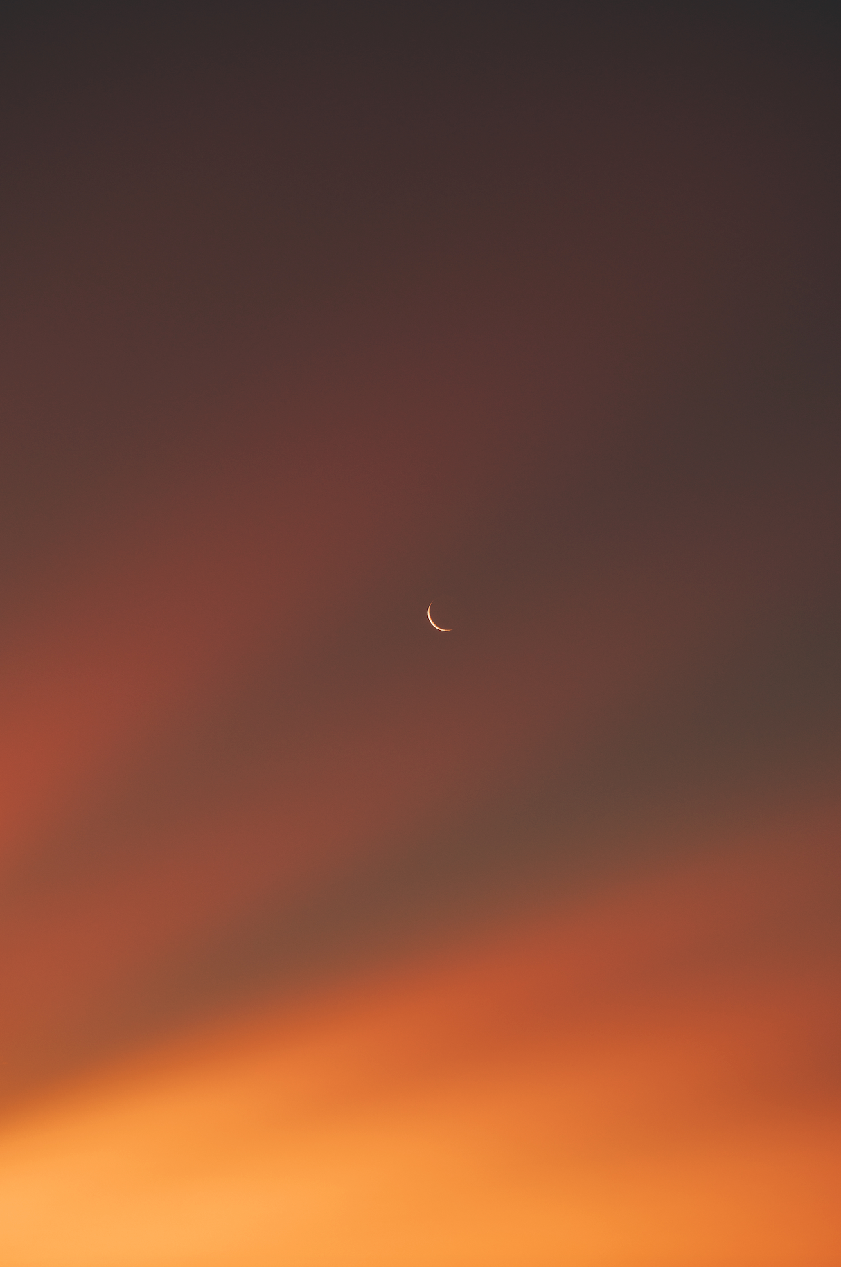 Dreamy Moon