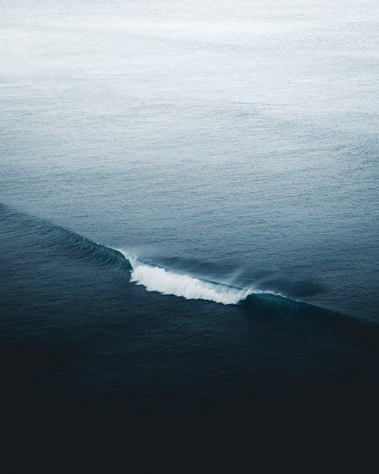 The Wave