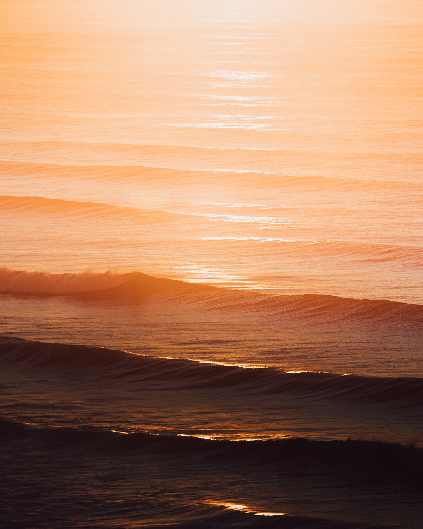 Golden Waves