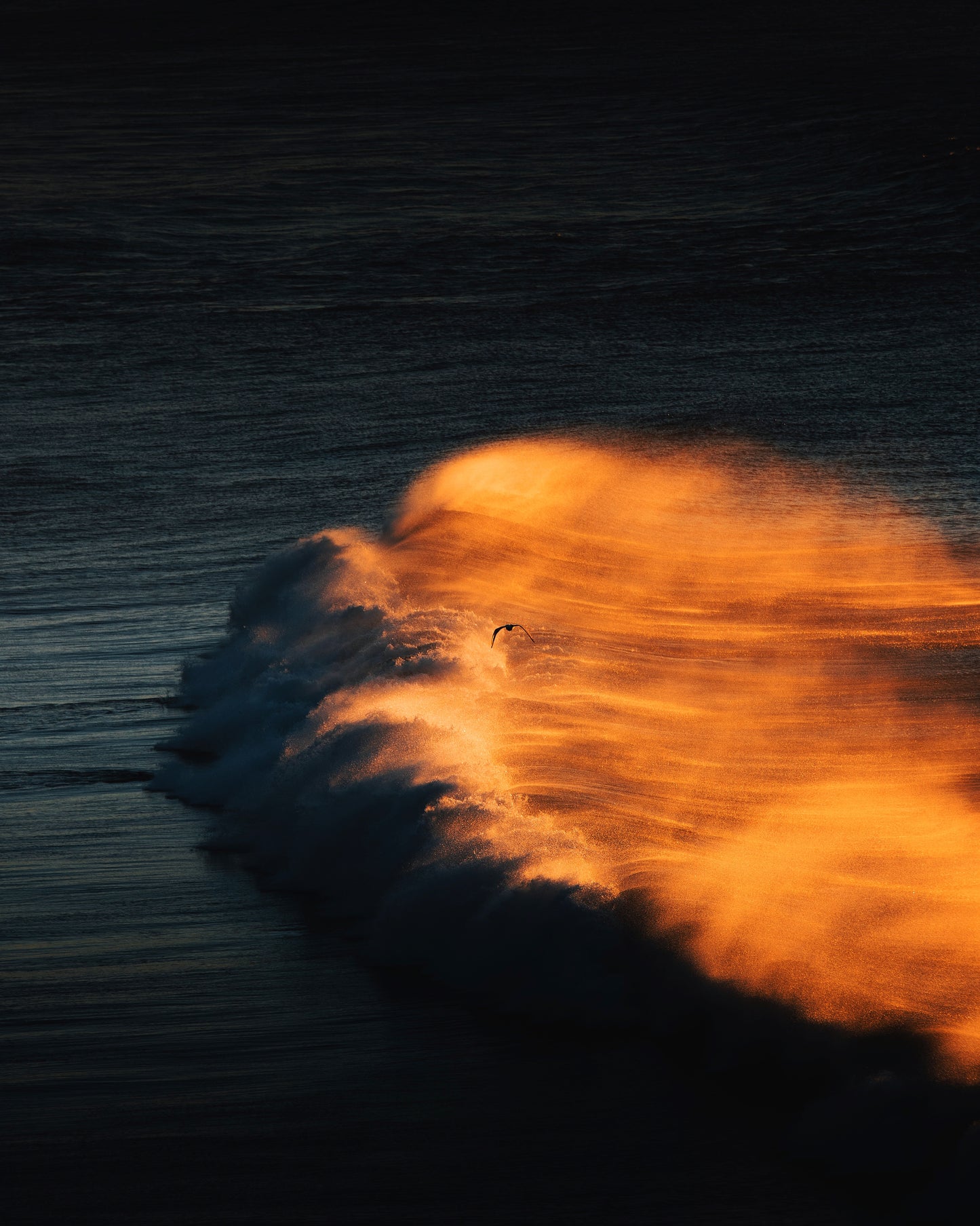 Golden Glow
