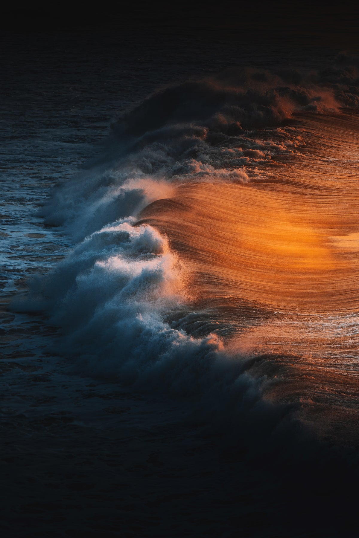 Golden Glow