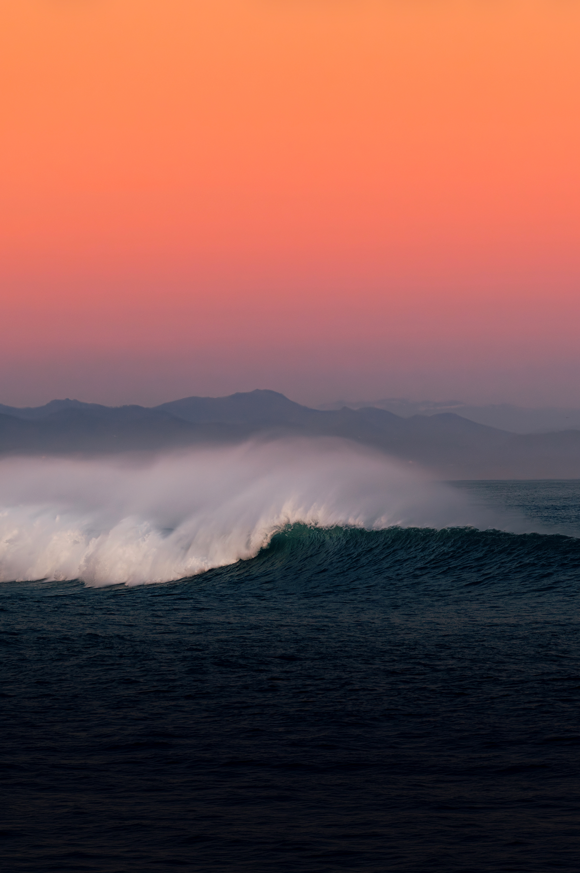 The Wave