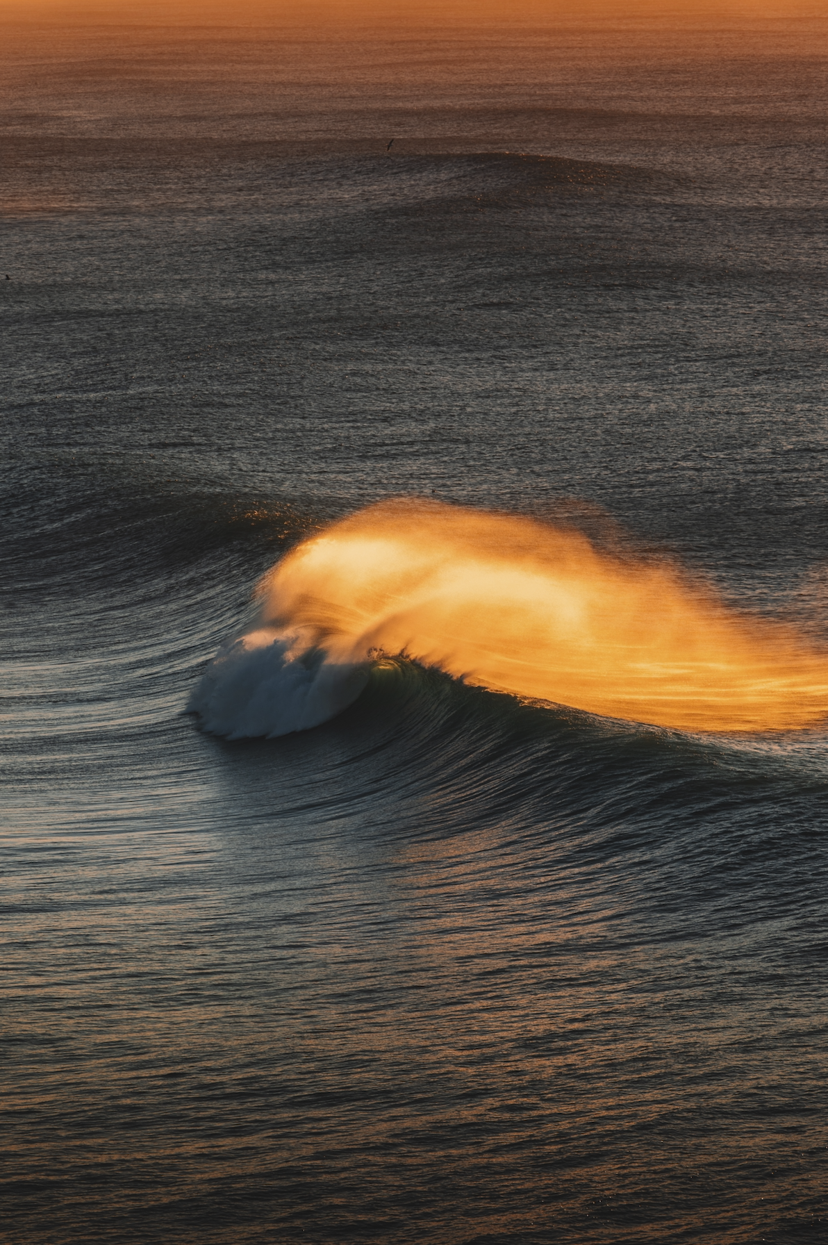 Golden Glow