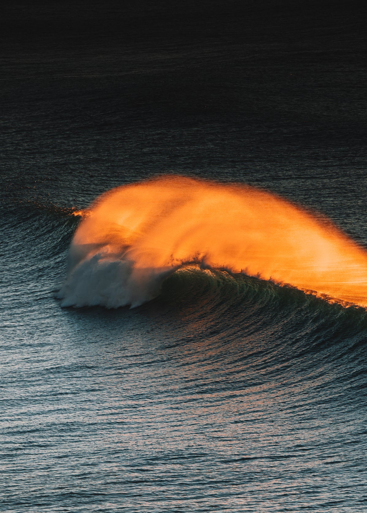 Golden Glow