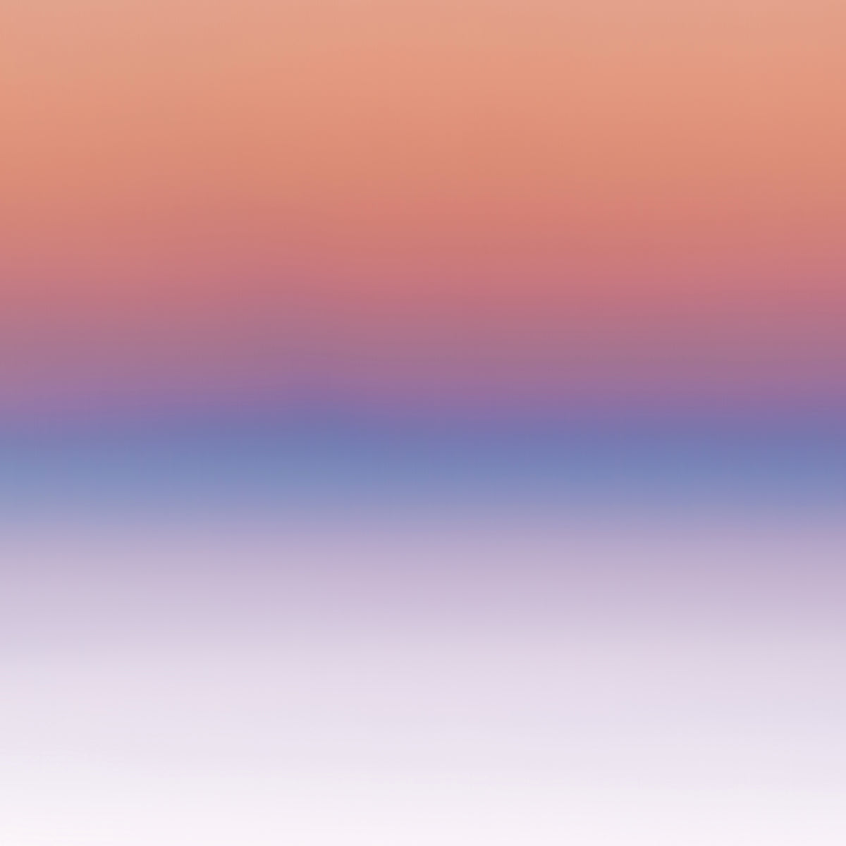 Horizon 23x23