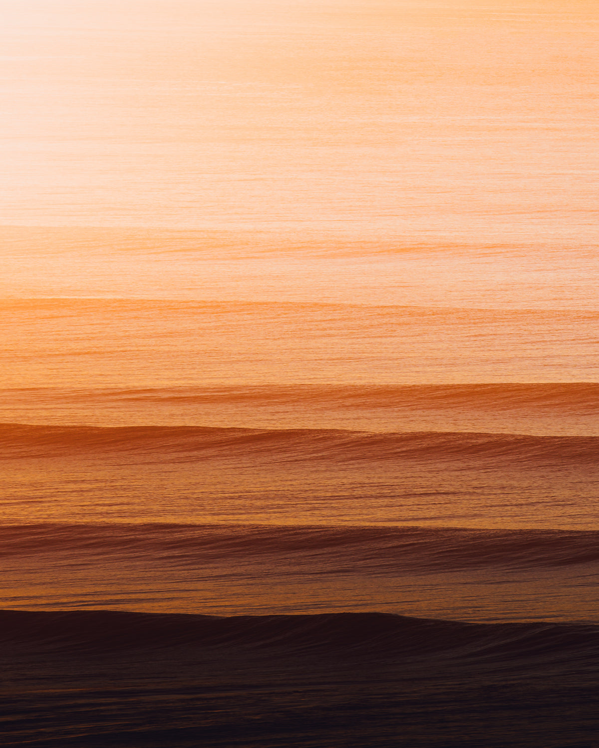 Golden Lines